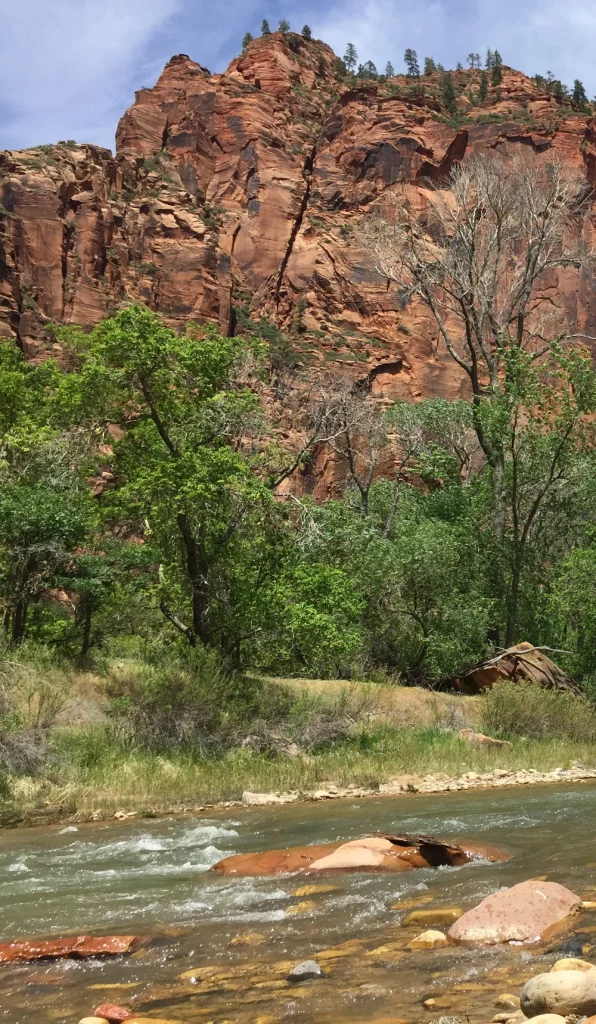 Virgin River at Zion's is a great way to cool off after your drive from Zion View RV Park
